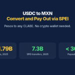 USDC to MXN: Convert and Pay Out via SPEI. Pesos to any CLABE. No crypto wallet needed. US$61.79B Remittances, 2025, 7.3B SPEI transfers, 2025
